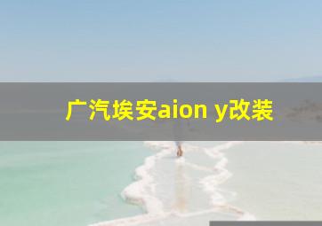 广汽埃安aion y改装